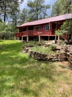 157 Berry Dr Bayfield, CO 81122 - Image 2750113