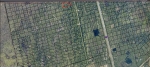 00 SW18 Mims, FL 32754 - Image 2749115