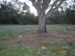 6040 SE 91st Trl Okeechobee, FL 34974 - Image 2749947