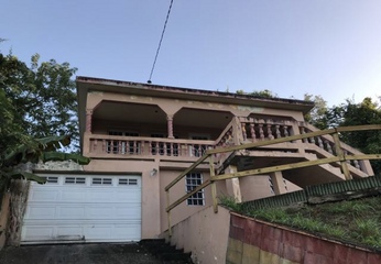 340 Santa Clara Dev Cidra, PR 00739