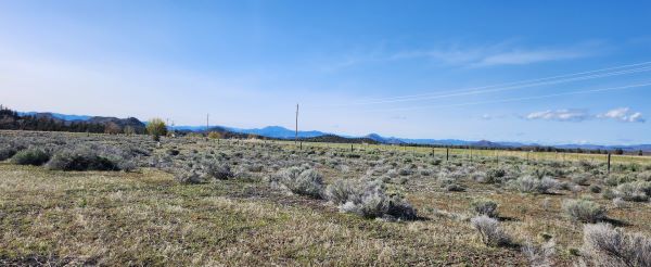 Lot 32 Silver Spur Rd Weed, CA 96094