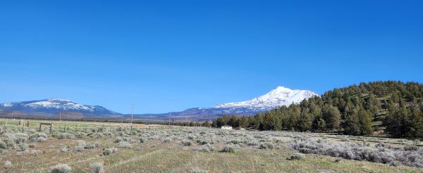 Lot 30 Silver Spur Rd Weed, CA 96094