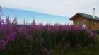 40055 Joe Super St Homer, AK 99603 - Image 2496431