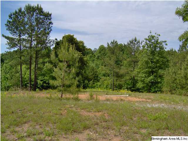 0 - 250 Co Rd 557 Verbena, AL 36091