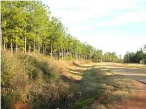 LOT 13 LANIE ACRES RD Andalusia, AL 36474