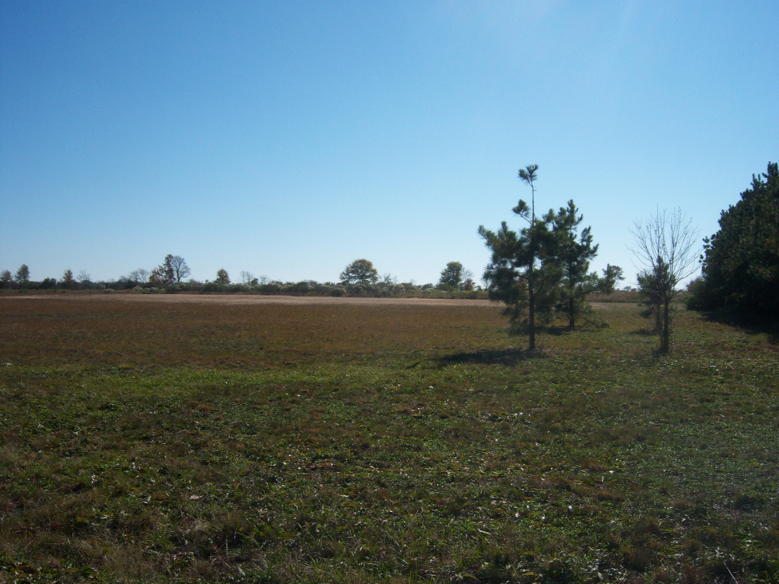 00 John Mason Bayou Carlisle, AR 72024