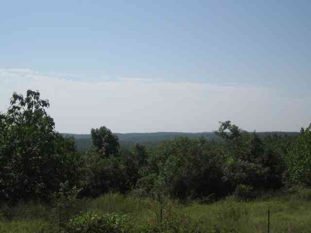 783 C.C. Ravenden Springs, AR 72460