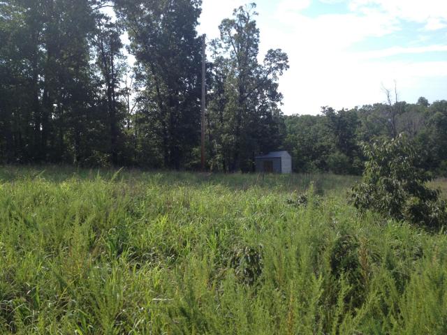 Moore Cir Charlotte, AR 72522