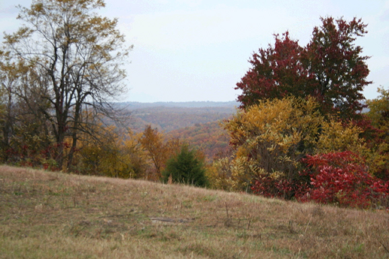 219 Acres Shiloh Road Leslie, AR 72645