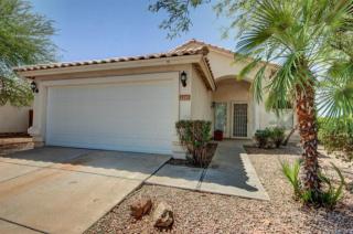 1293 W Orchid Ln Chandler, AZ 85224