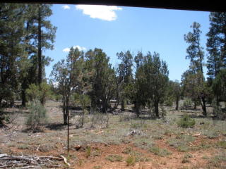 1565 High Country Dr Heber, AZ 85928