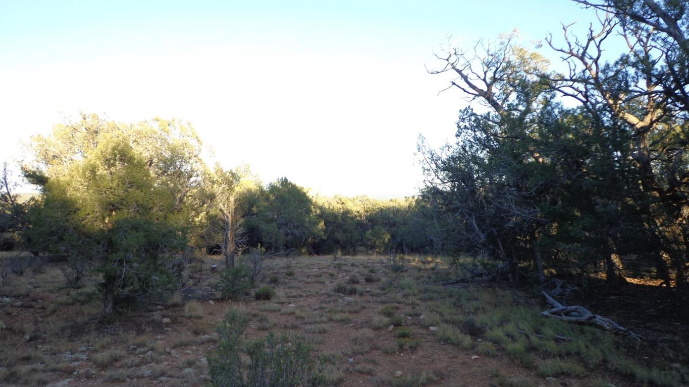 732 Westwood Ranch Lot 732 Ash Fork, AZ 86320