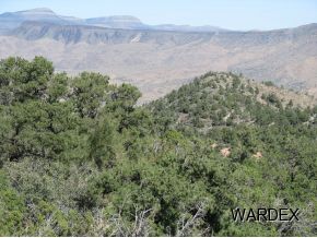 9864 E Trap Springs Ln Hackberry, AZ 86411
