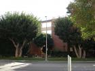11750 West Sunset Boulevard #411 image #1