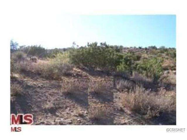0 VAC/VIC AVENUE W12/HUBBARD Road Acton, CA 93510