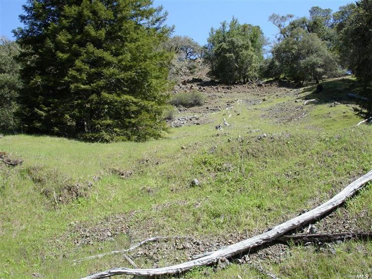 0 Mountain View Boonville, CA 95428