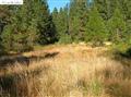 13824 Baker Road Camptonville, CA 95922