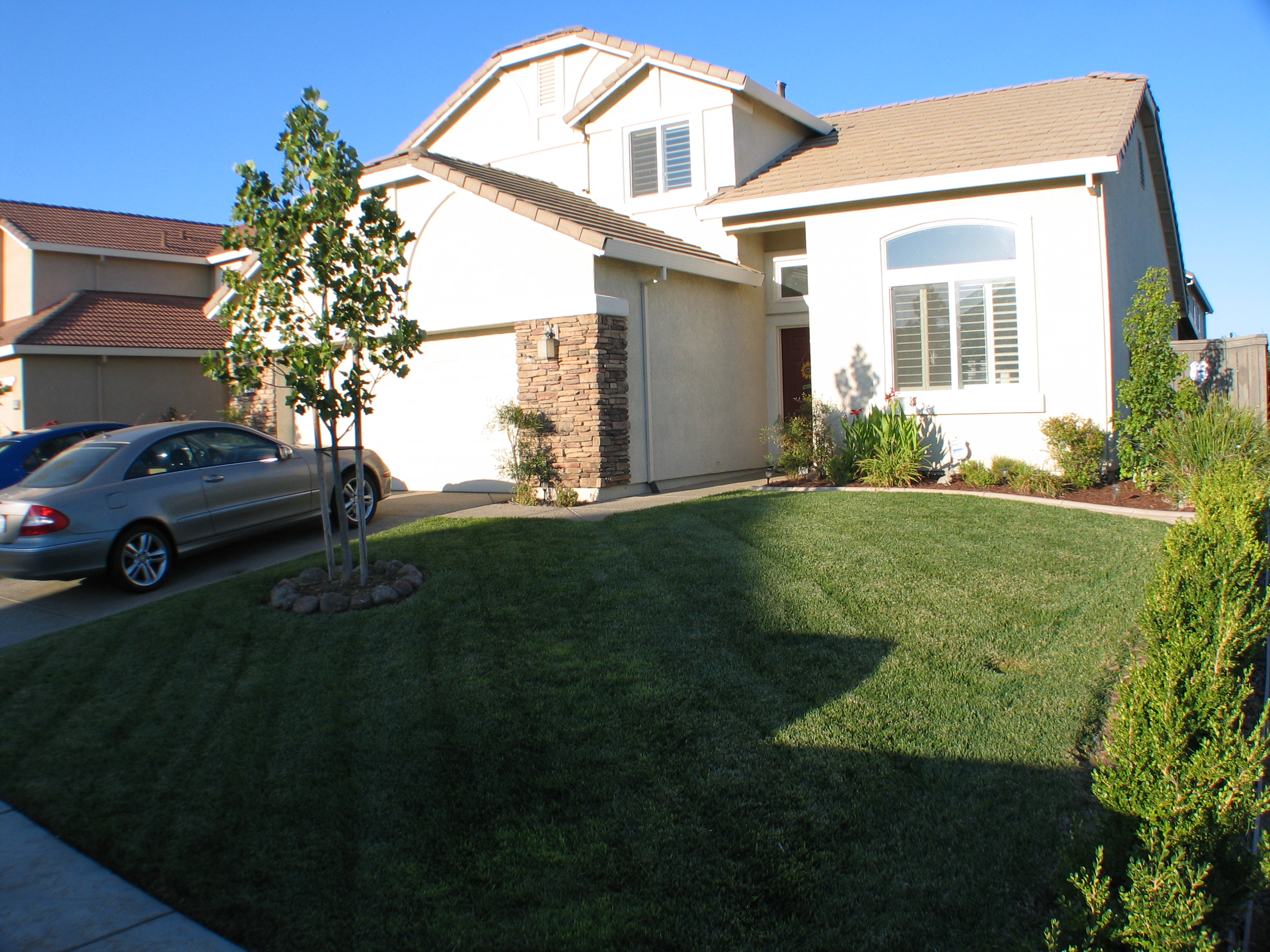 1910 Northern Pintail Gridley, CA 95948