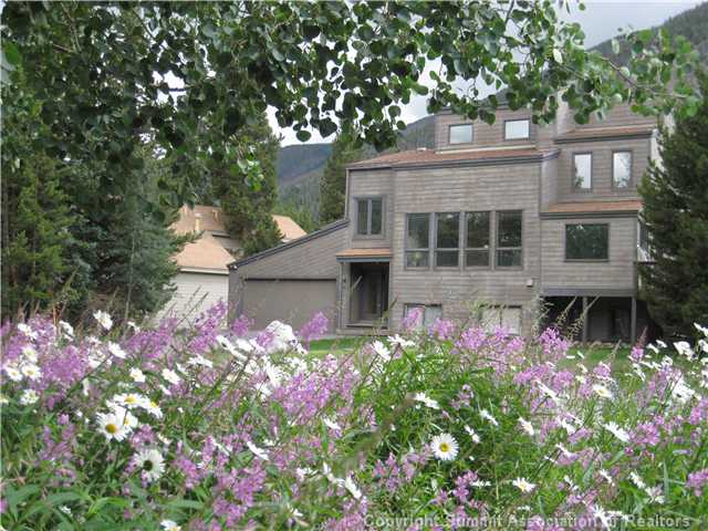 201 Emily Lane Frisco, CO 80443