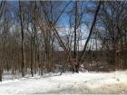 504 Old Colchester Rd Salem, CT 06420 - Image 2298776