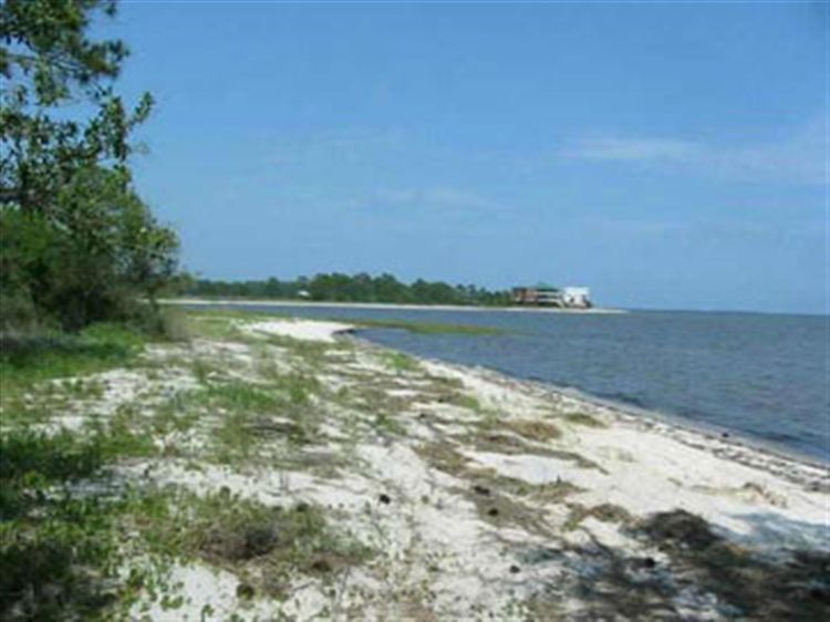 2908 Pristine Dr Carrabelle, FL 32328