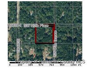 4713 sw 110th pl Webster, FL 33597
