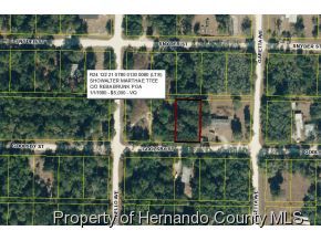 35365 GOOLSBY ST Webster, FL 33597