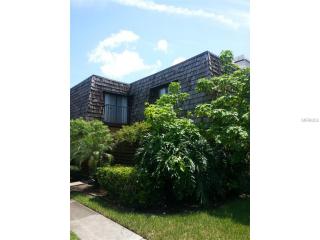 15220 W Pond Woods Dr #12 Tampa, FL 33618