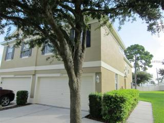 2821 Newbern Way Clearwater, FL 33761