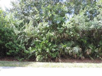 53Rd Street Lot 21 Sarasota, FL 34234