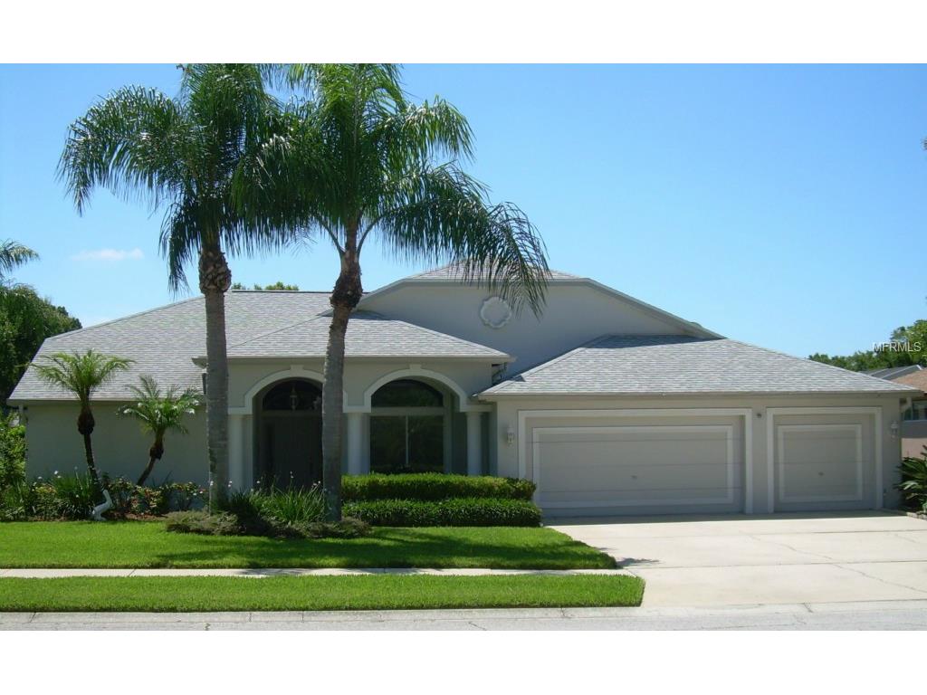 583 Belted Kingfisher Dr N Palm Harbor, FL 34683