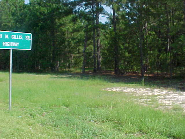 Hwy 29 South East Dublin, GA 31027