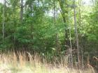 000 Joycliff Road image #1