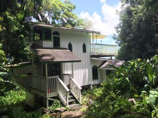 1155 Lower Nahiku Hana, HI 96713