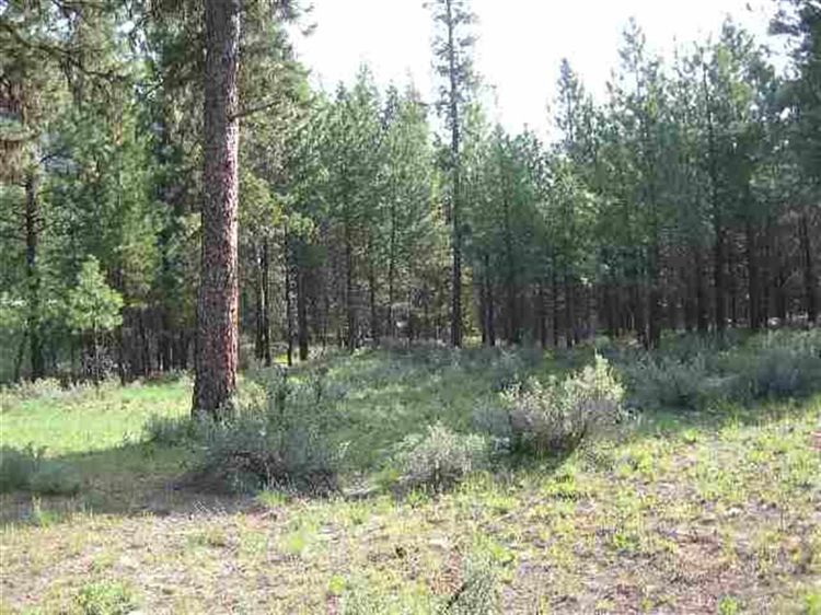 Lot 15, Scenic Circle Lowman, ID 83637