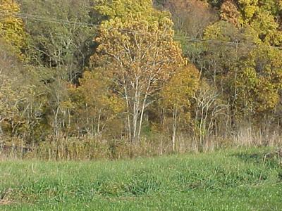 Unit: 5 - 0 Hickory Hill Ct Foster, KY 41043