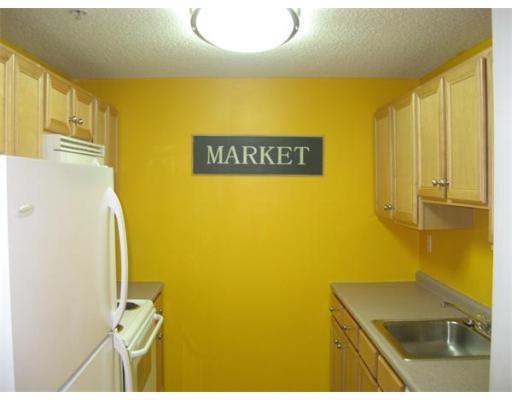 200 Market St #3211 Lowell, MA 01853