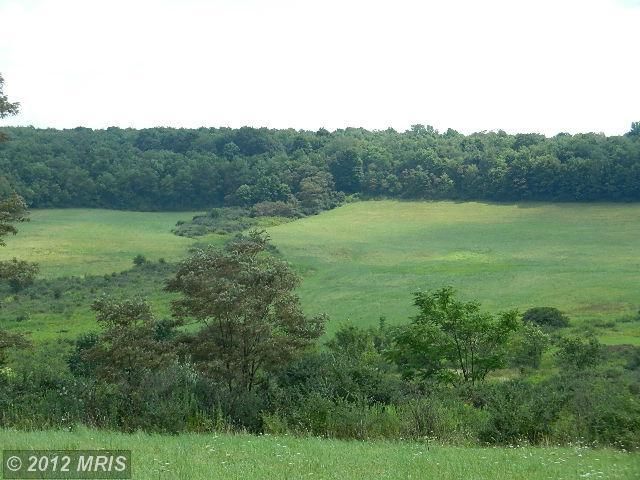 87 PARKERSBURG RD E Eckhart Mines, MD 21528