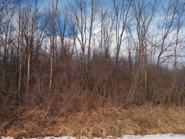 0 Burt Rd Vl Parc A Emmett Township, Mi 48022 Emmett, MI 48022