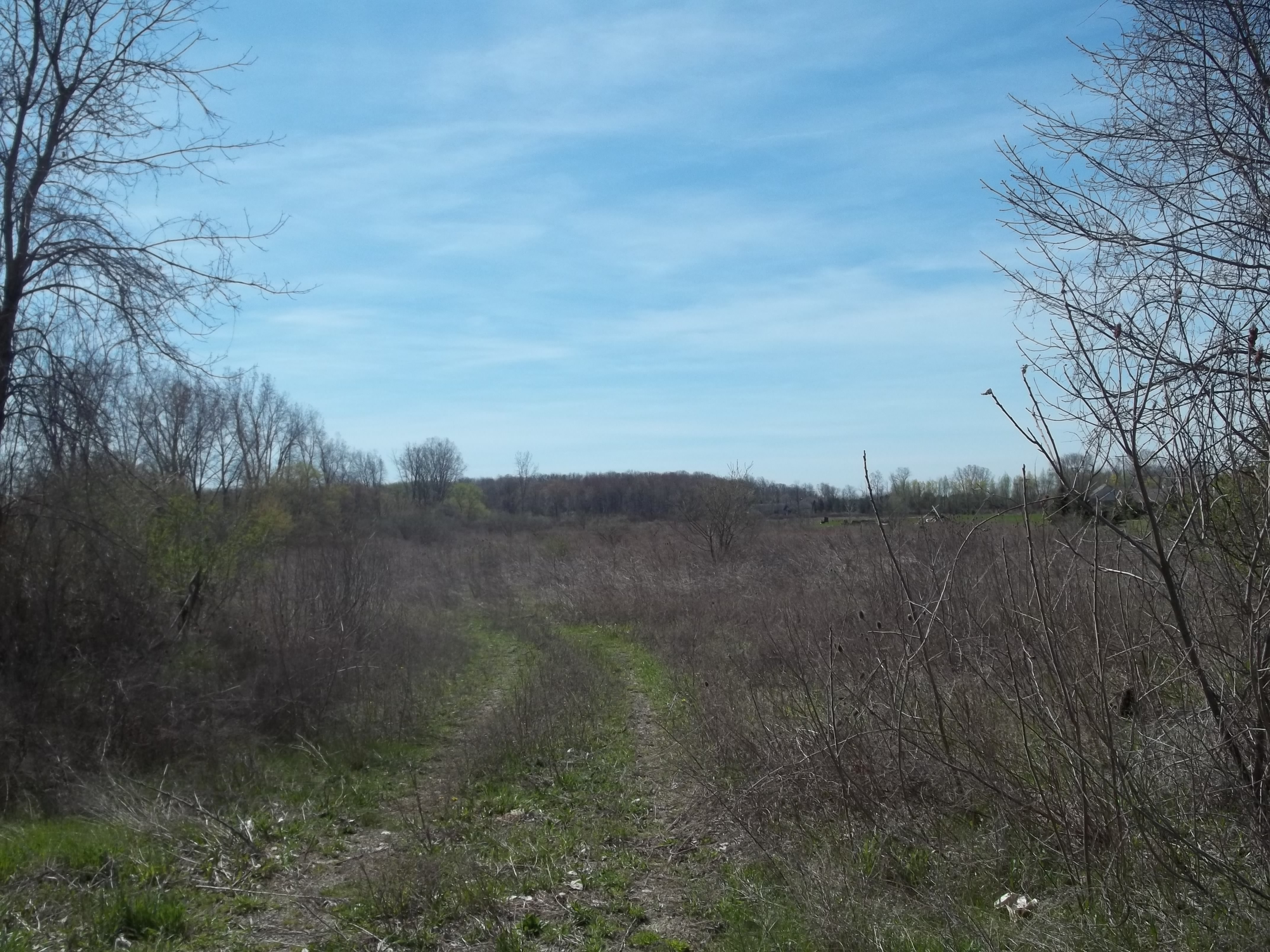 0 32 Mile Ray Township, Mi 48096 Ray, MI 48096
