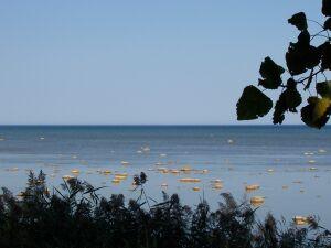 S. Lakeshore Road Harbor Beach, MI 48441