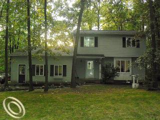8348 Pineview Lake Dr Linden, MI 48451