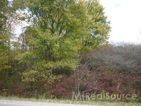 0 E Galbraith Line Rd. Melvin, MI 48454