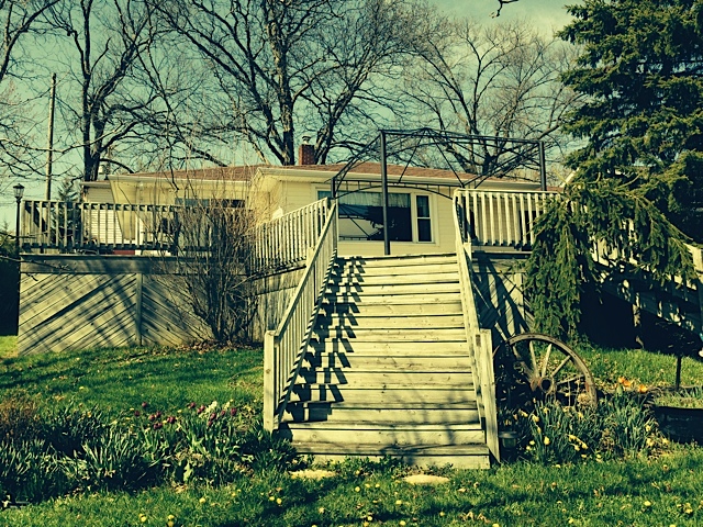 6565 Morgan Osseo, MI 49266