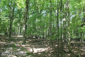 1 Wilson Custer, MI 49405