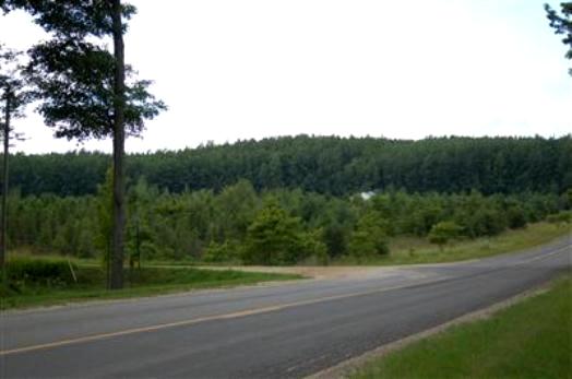 V/l Parcel 9 144th Avenue Hart, MI 49420