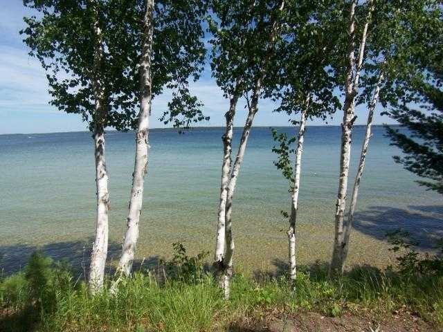 1167 Henderson Drive Topinabee, MI 49791