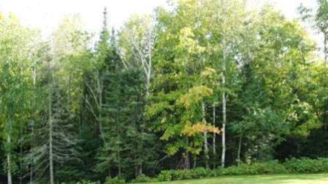 Lot 13 - Tbd Cataldo Dr Iron River, MI 49935