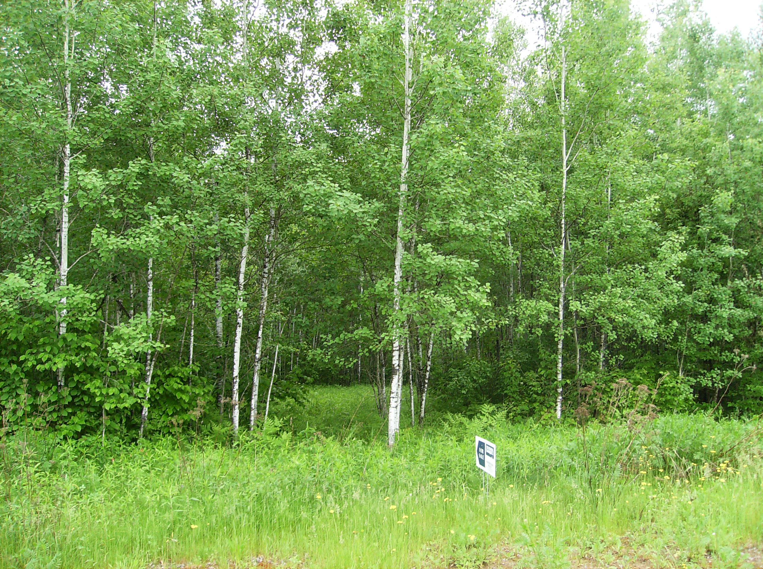 Buck Dr Bovey, MN 55709