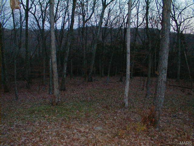 3 Moonlight Robertsville, MO 63072